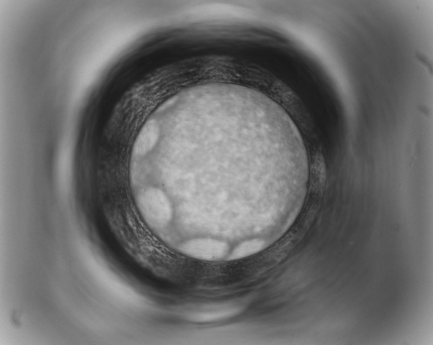 X0000102390765200808221825