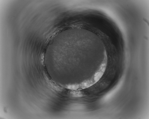 X0000102390767200808221825