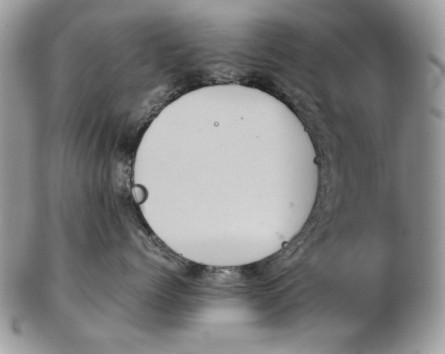 X0000102390768200808221825