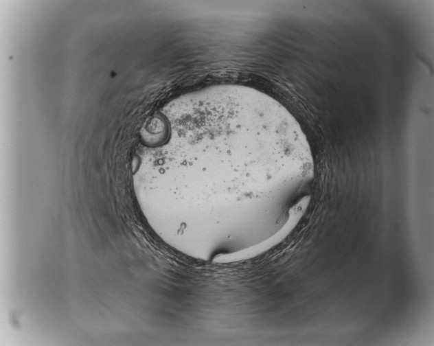 X0000102390769200808221824