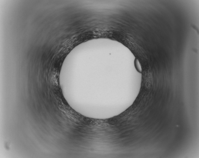 X0000102390770200808221824