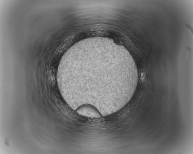 X0000102390771200808221824