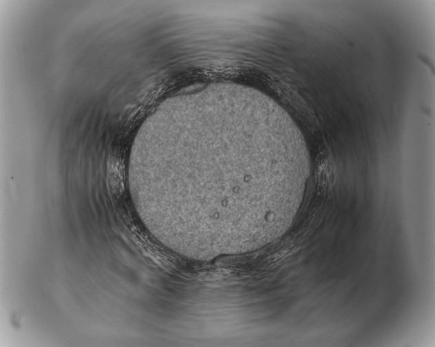 X0000102390772200808221824