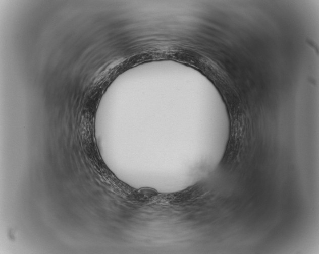 X0000102390773200808221824