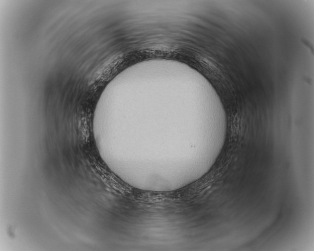 X0000102390774200808221824