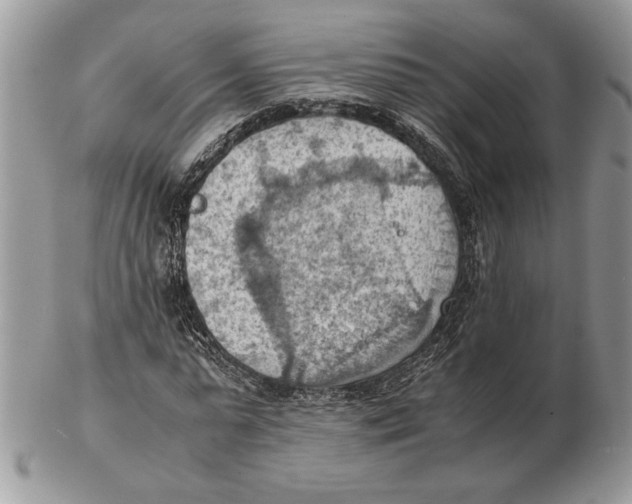 X0000102390775200808221824