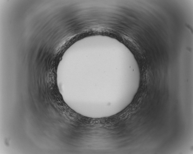 X0000102390776200808221824