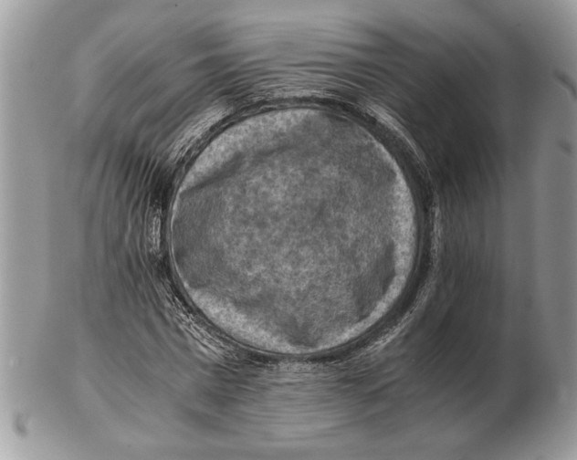 X0000102390777200808221824