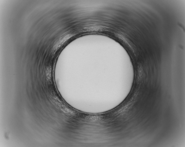 X0000102390778200808221824