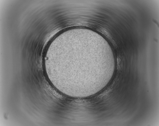 X0000102390780200808221824