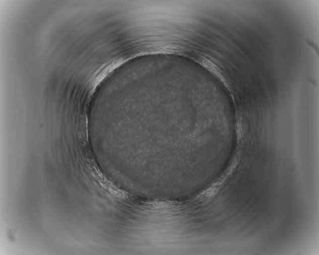 X0000102390781200808221824