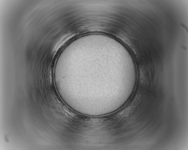 X0000102390782200808221824