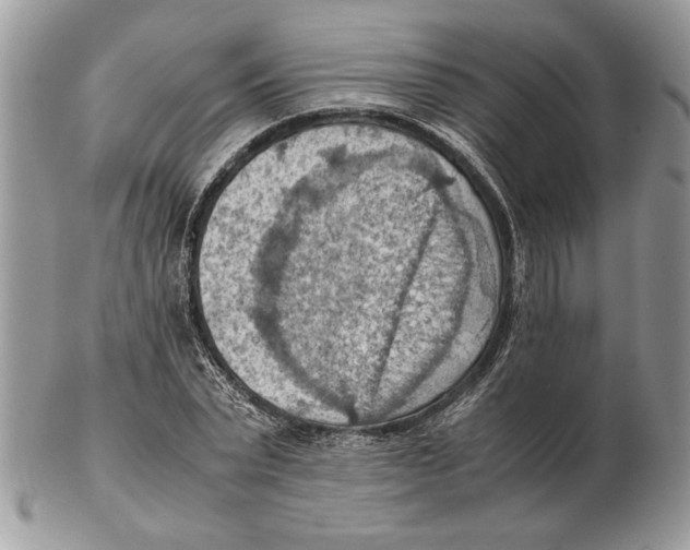 X0000102390783200808221824