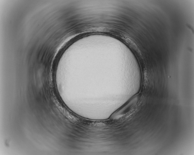 X0000102390784200808221824