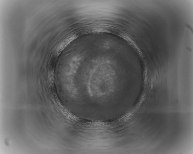 X0000102390785200808221824