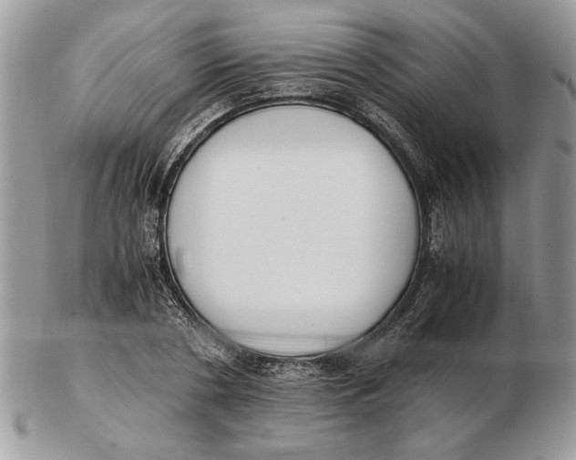 X0000102390786200808221824