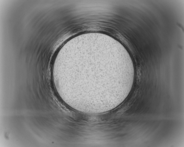 X0000102390787200808221824