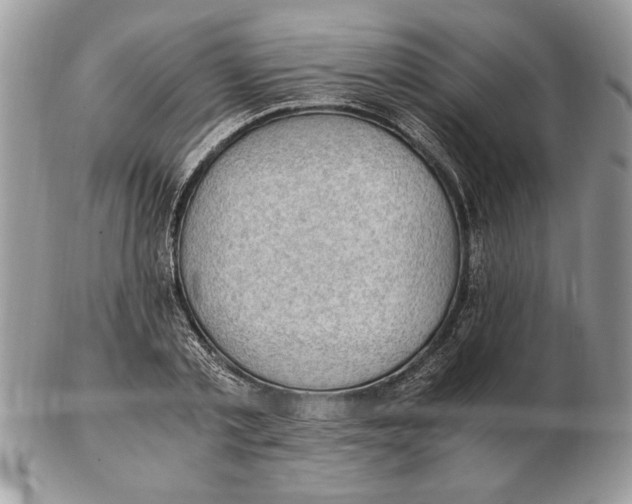 X0000102390789200808221824