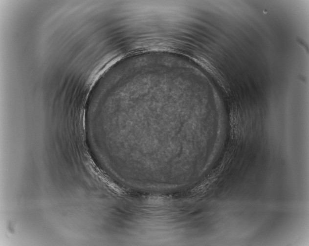 X0000102390790200808221824