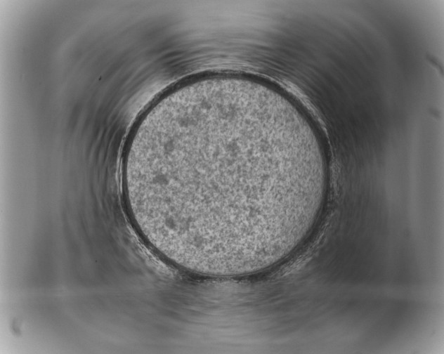 X0000102390791200808221824