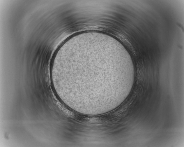 X0000102390792200808221824