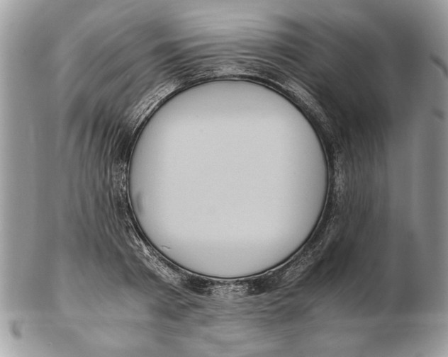 X0000102390793200808221824