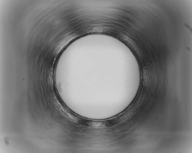 X0000102390794200808221824