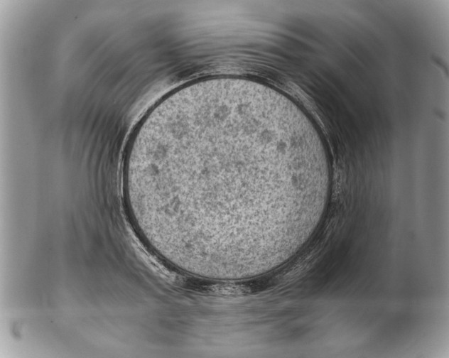 X0000102390795200808221824