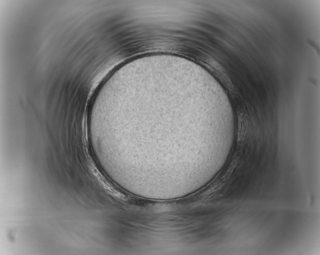 X0000102390796200808221824