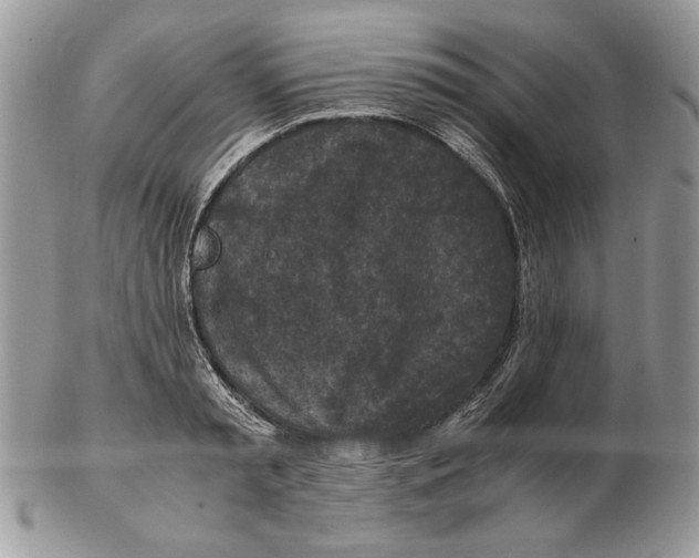 X0000102390797200808221824