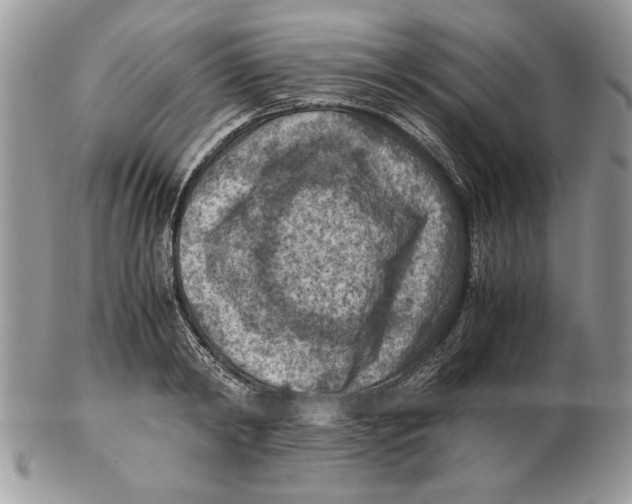 X0000102390798200808221824