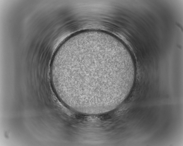 X0000102390799200808221824