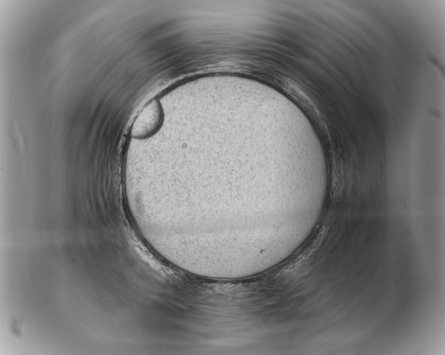 X0000102390800200808221824