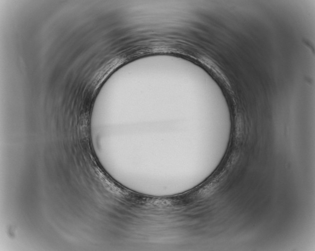 X0000102390801200808221823