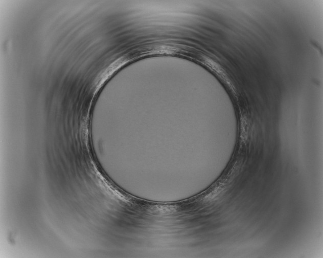 X0000102390802200808221823