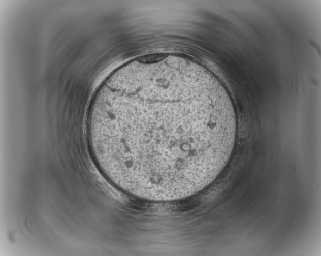 X0000102390803200808221823