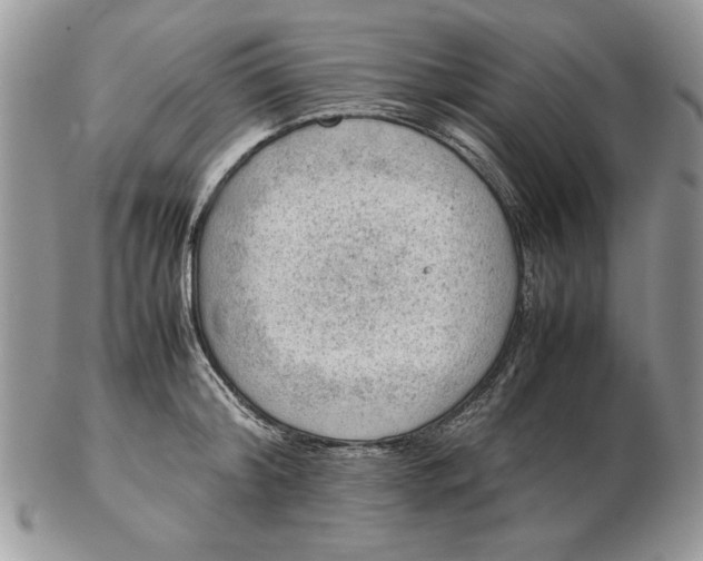 X0000102390804200808221823