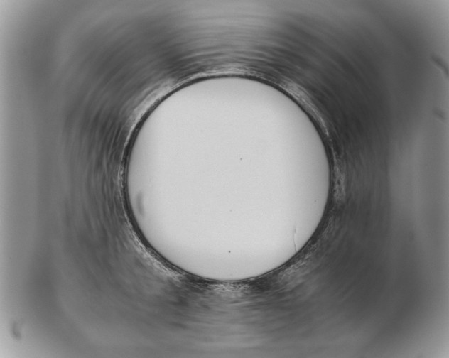 X0000102390805200808221823