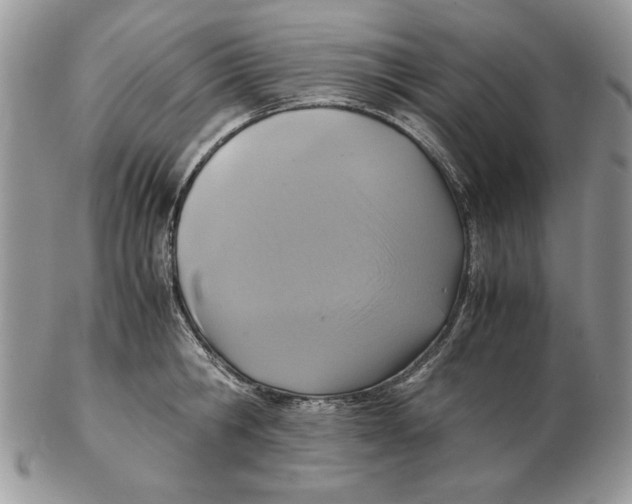 X0000102390806200808221823