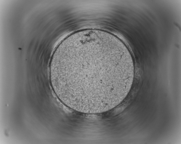 X0000102390807200808221823