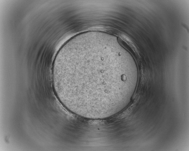 X0000102390808200808221823