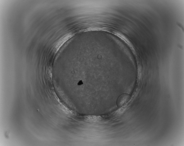 X0000102390809200808221823