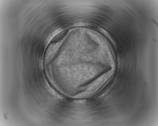 X0000102390810200808221823