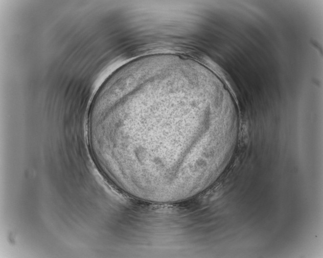 X0000102390811200808221823