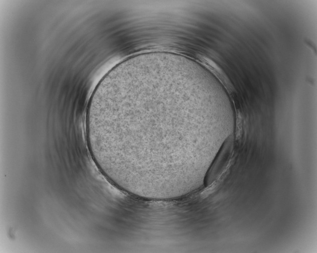 X0000102390812200808221823