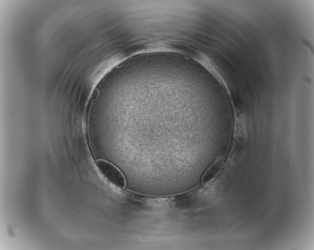 X0000102390813200808221823