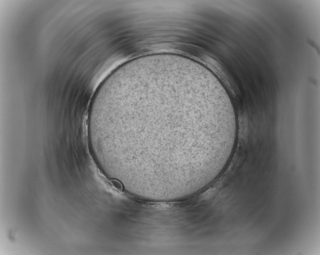 X0000102390814200808221823