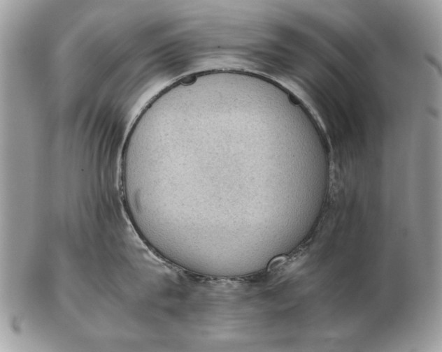 X0000102390815200808221823