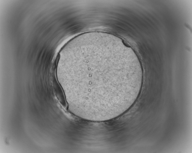 X0000102390816200808221823