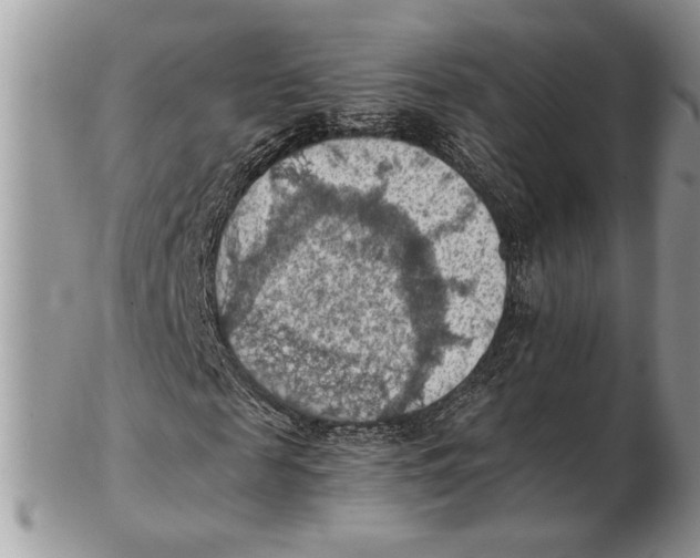 X0000102390817200808221823